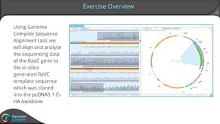 13
Exercise Overview
Using Genome
Compiler Sequence
Alignment tool, we
will align and analyse
the sequencing data
of the RaVC gene to
the in-silico
generated RaVC
template sequence
which was cloned
into the pcDNA3.1 C-
HA backbone
 