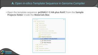 14
A. Open in-silico Template Sequence in Genome Compiler
• Open the template sequence: pcDNA3.1 C-HA plus RaVC from the Sample
Projects folder inside the Materials Box:
 