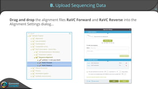 16
Drag and drop the alignment files RaVC Forward and RaVC Reverse into the
Alignment Settings dialog…
B. Upload Sequencing Data
 