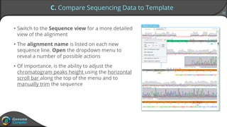 20
C. Compare Sequencing Data to Template
• Switch to the Sequence view for a more detailed
view of the alignment
• The alignment name is listed on each new
sequence line. Open the dropdown menu to
reveal a number of possible actions
• Of importance, is the ability to adjust the
chromatogram peaks height using the horizontal
scroll bar along the top of the menu and to
manually trim the sequence
 