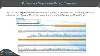 21
C. Compare Sequencing Data to Template
You can also expand the sequence view for a more detailed view of the alignment by
selecting the “Expand View” button at the top right of Sequence View Panel
 