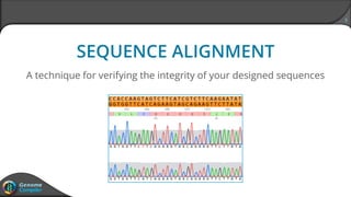 3
A technique for verifying the integrity of your designed sequences
SEQUENCE ALIGNMENT
 