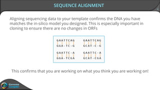 4
SEQUENCE ALIGNMENT
Aligning sequencing data to your template confirms the DNA you have
matches the in-silico model you designed. This is especially important in
cloning to ensure there are no changes in ORFs
This confirms that you are working on what you think you are working on!
 