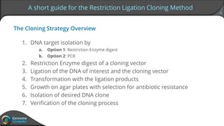 6
A short guide for the Restriction Ligation Cloning Method
The Cloning Strategy Overview
1. DNA target isolation by
a. Option 1: Restriction Enzyme digest
b. Option 2: PCR
2. Restriction Enzyme digest of a cloning vector
3. Ligation of the DNA of interest and the cloning vector
4. Transformation with the ligation products
5. Growth on agar plates with selection for antibiotic resistance
6. Isolation of desired DNA clone
7. Verification of the cloning process
 