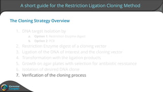 7
A short guide for the Restriction Ligation Cloning Method
The Cloning Strategy Overview
1. DNA target isolation by
a. Option 1: Restriction Enzyme digest
b. Option 2: PCR
2. Restriction Enzyme digest of a cloning vector
3. Ligation of the DNA of interest and the cloning vector
4. Transformation with the ligation products
5. Growth on agar plates with selection for antibiotic resistance
6. Isolation of desired DNA clone
7. Verification of the cloning process
 