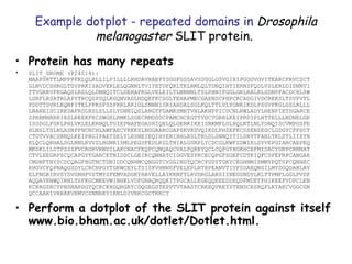 Example dotplot - repeated domains in  Drosophila melanogaster  SLIT protein.  Protein has many repeats  SLIT_DROME (P24014): MAAPSRTTLMPPPFRLQLRLLILPILLLLRHDAVHAEPYSGGFGSSAVSSGGLGSVGIHIPGGGVGVITEARCPRVCSCT GLNVDCSHRGLTSVPRKISADVERLELQGNNLTVIYETDFQRLTKLRMLQLTDNQIHTIERNSFQDLVSLERLDISNNVI TTVGRRVFKGAQSLRSLQLDNNQITCLDEHAFKGLVELEILTLNNNNLTSLPHNIFGGLGRLRALRLSDNPFACDCHLSW LSRFLRSATRLAPYTRCQSPSQLKGQNVADLHDQEFKCSGLTEHAPMECGAENSCPHPCRCADGIVDCREKSLTSVPVTL PDDTTDVRLEQNFITELPPKSFSSFRRLRRIDLSNNNISRIAHDALSGLKQLTTLVLYGNKIKDLPSGVFKGLGSLRLLL LNANEISCIRKDAFRDLHSLSLLSLYDNNIQSLANGTFDAMKSMKTVHLAKNPFICDCNLRWLADYLHKNPIETSGARCE SPKRMHRRRIESLREEKFKCSWGELRMKLSGECRMDSDCPAMCHCEGTTVDCTGRRLKEIPRDIPLHTTELLLNDNELGR ISSDGLFGRLPHLVKLELKRNQLTGIEPNAFEGASHIQELQLGENKIKEISNKMFLGLHQLKTLNLYDNQISCVMPGSFE HLNSLTSLNLASNPFNCNCHLAWFAECVRKKSLNGGAARCGAPSKVRDVQIKDLPHSEFKCSSENSEGCLGDGYCPPSCT CTGTVVACSRNQLKEIPRGIPAETSELYLESNEIEQIHYERIRHLRSLTRLDLSNNQITILSNYTFANLTKLSTLIISYN KLQCLQRHALSGLNNLRVVSLHGNRISMLPEGSFEDLKSLTHIALGSNPLYCDCGLKWFSDWIKLDYVEPGIARCAEPEQ MKDKLILSTPSSSFVCRGRVRNDILAKCNACFEQPCQNQAQCVALPQREYQCLCQPGYHGKHCEFMIDACYGNPCRNNAT CTVLEEGRFSCQCAPGYTGARCETNIDDCLGEIKCQNNATCIDGVESYKCECQPGFSGEFCDTKIQFCSPEFNPCANGAK CMDHFTHYSCDCQAGFHGTNCTDNIDDCQNHMCQNGGTCVDGINDYQCRCPDDYTGKYCEGHNMISMMYPQTSPCQNHEC KHGVCFQPNAQGSDYLCRCHPGYTGKWCEYLTSISFVHNNSFVELEPLRTRPEANVTIVFSSAEQNGILMYDGQDAHLAV ELFNGRIRVSYDVGNHPVSTMYSFEMVADGKYHAVELLAIKKNFTLRVDRGLARSIINEGSNDYLKLTTPMFLGGLPVDP AQQAYKNWQIRNLTSFKGCMKEVWINHKLVDFGNAQRQQKITPGCALLEGEQQEEEDDEQDFMDETPHIKEEPVDPCLEN KCRRGSRCVPNSNARDGYQCKCKHGQRGRYCDQGEGSTEPPTVTAASTCRKEQVREYYTENDCRSRQPLKYAKCVGGCGN QCCAAKIVRRRKVRMVCSNNRKYIKNLDIVRKCGCTKKCY  Perform a dotplot of the SLIT protein against itself www.bio.bham.ac.uk/dotlet/Dotlet.html. 