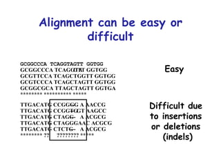 Alignment can be easy or difficult Easy Difficult due  to insertions  or deletions  (indels) 