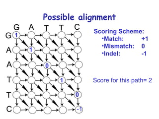 Possible alignment 1 1 0 1 0 -1 Scoring Scheme: Match: +1 Mismatch: 0 Indel:  -1 Score for this path= 2 
