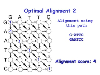 Optimal Alignment 2 1 -1 1 1 1 1 Alignment score: 4 Alignment using  this path G-ATTC GAATTC 