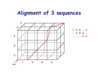 Alignment of 3 sequences 