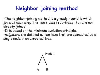 Neighbor joining method The neighbor-joining method is a greedy heuristic which joins at each step, the two closest sub-trees that are not already joined. It is based on the minimum evolution principle. neighbors  are defined as two taxa that are connected by a single node in an unrooted tree A B Node 1 