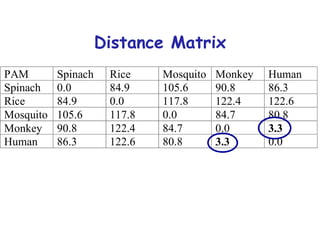 Distance Matrix What is required for the Neighbour joining method? Distance matrix 