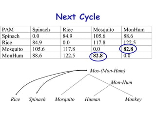 Next Cycle Human Mosquito Mon-Hum Monkey Spinach Rice Mos-(Mon-Hum) 