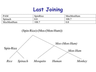 Last Joining Human Mosquito Mon-Hum Monkey Spinach Rice Mos-(Mon-Hum) Spin-Rice (Spin-Rice)-(Mos-(Mon-Hum)) 
