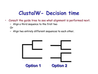 ClustalW- Decision time Consult the guide tree to see what alignment is performed next. Align a third sequence to the first two Or Align two entirely different sequences to each other. Option 1 Option 2 