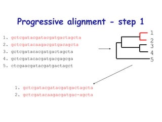 Progressive alignment - step 1 1.  gctcgatacgatacgatgactagcta 2.  gctcgatacaagacgatgacagcta 3. gctcgatacacgatgactagcta 4. gctcgatacacgatgacgagcga 5. ctcgaacgatacgatgactagct 1.  gctcgatacgatacgatgactagcta 2.  gctcgatacaagacgatgac-agcta 1 2 3 4 5 