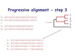 Progressive alignment - step 3 1.  gctcgatacgatacgatgactagcta 2.  gctcgatacaagacgatgac-agcta + 3.  gctcgatacacgatgactagcta 4.  gctcgatacacgatgacgagcga 1.  gctcgatacgatacgatgactagcta 2.  gctcgatacaagacgatgac-agcta 3.  gctcgatacacga---tgactagcta 4.  gctcgatacacga---tgacgagcga 1 2 3 4 5 