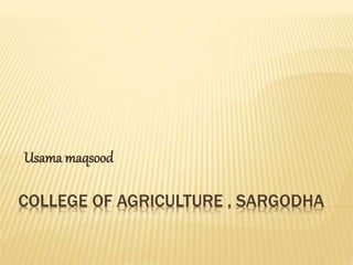COLLEGE OF AGRICULTURE , SARGODHA
Usama maqsood
 