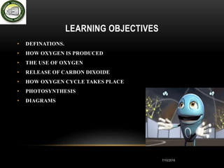 OXYGEN CYCLE | PPTX