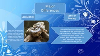 Major
Differences
LOCOMOTION
Lizards have legs and snakes
do not have legs. While lizards
move on four limbs, a snake
moves by undulating its body
and also with the help of its
ventral scales. The ventral
scales give the snakes a good
grip on the surface.
Sense of
hearing
Lizards can hear sounds through
their external ear openings. On
the other hand, snakes only hear
through the skull bone. The
snakes, which have no external
ears, hear only through
vibrations from the ground.
 