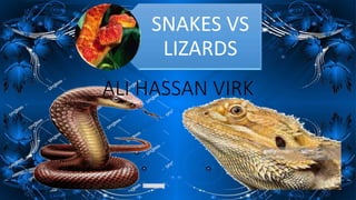 SNAKES VS
LIZARDS
ALI HASSAN VIRK
 