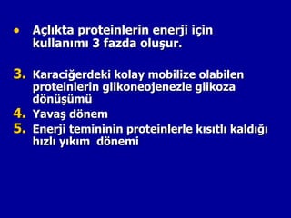 • Açlıkta proteinlerin enerji için
     kullanımı 3 fazda oluşur.

3. Karaciğerdeki kolay mobilize olabilen
     proteinlerin glikoneojenezle glikoza
     dönüşümü
4.   Yavaş dönem
5.   Enerji temininin proteinlerle kısıtlı kaldığı
     hızlı yıkım dönemi
 