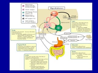 Açlik  iştah-tokluk (fazlası için www.tipfakultesi.org )