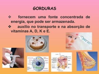 GORDURAS         fornecem uma fonte concentrada de energia, que pode ser armazenada.        auxílio no transporte e na absorção de vitaminas A, D, K e E.  