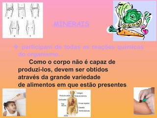 MINERAIS    participam de todas as reações químicas do organismo. . Como o corpo não é capaz de  produzi-los, devem ser obtidos  através da grande variedade  de alimentos em que estão presentes .  