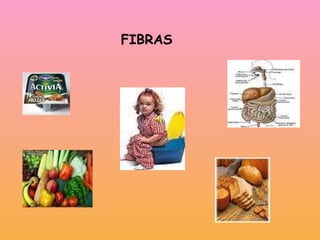FIBRAS 