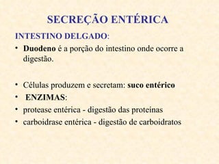 SECREÇÃO ENTÉRICA   INTESTINO DELGADO : Duodeno  é a porção do intestino onde ocorre a digestão. Células produzem e secretam:  suco entérico ENZIMAS :  protease entérica - digestão das proteínas carboidrase entérica - digestão de carboidratos 