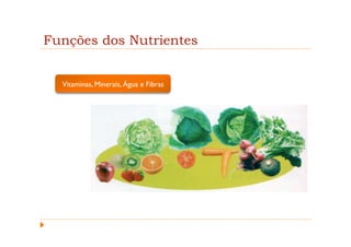 Funções dos Nutrientes


  Vitaminas, Minerais, Água e Fibras
 