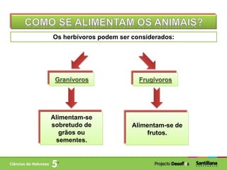 Os herbívoros podem ser considerados:
Granívoros Frugívoros
Alimentam-se
sobretudo de
grãos ou
sementes.
Alimentam-se de
frutos.
 