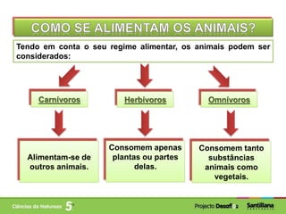 Tendo em conta o seu regime alimentar, os animais podem ser
considerados:
HerbívorosCarnívoros Omnívoros
Alimentam-se de
outros animais.
Consomem apenas
plantas ou partes
delas.
Consomem tanto
substâncias
animais como
vegetais.
 