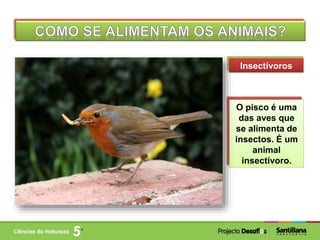 Insectívoros
O pisco é uma
das aves que
se alimenta de
insectos. É um
animal
insectívoro.
 