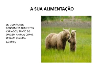 A SUA ALIMENTAÇÃO
OS OMNÍVOROS
CONSOMEM ALIMENTOS
VARIADOS, TANTO DE
ORIGEM ANIMAL COMO
ORIGEM VEGETAL.
EX: URSO
 