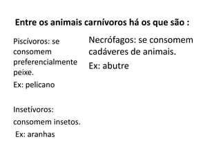 Entre os animais carnívoros há os que são :
Necrófagos: se consomem
cadáveres de animais.
Ex: abutre
Piscívoros: se
consomem
preferencialmente
peixe.
Ex: pelicano
Insetívoros:
consomem insetos.
Ex: aranhas
 