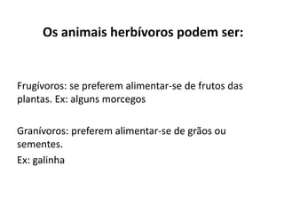 Os animais herbívoros podem ser:
Frugívoros: se preferem alimentar-se de frutos das
plantas. Ex: alguns morcegos
Granívoros: preferem alimentar-se de grãos ou
sementes.
Ex: galinha
 