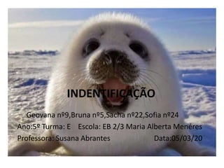 INDENTIFICAÇÃO
Geovana nº9,Bruna nº5,Sacha nº22,Sofia nº24
Ano:5º Turma: E Escola: EB 2/3 Maria Alberta Menéres
Professora: Susana Abrantes Data:05/03/20
 