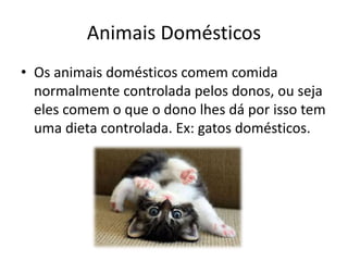 Animais Domésticos
• Os animais domésticos comem comida
normalmente controlada pelos donos, ou seja
eles comem o que o dono lhes dá por isso tem
uma dieta controlada. Ex: gatos domésticos.
 