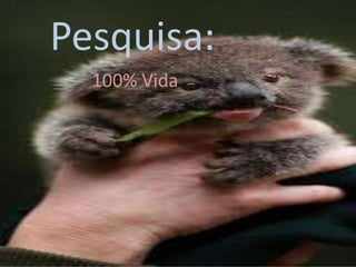 Pesquisa:
100% Vida
 