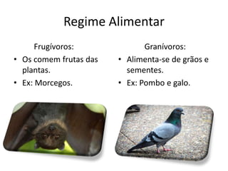 Regime Alimentar
Frugívoros:
• Os comem frutas das
plantas.
• Ex: Morcegos.
Granívoros:
• Alimenta-se de grãos e
sementes.
• Ex: Pombo e galo.
 