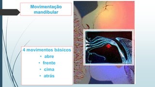 Movimentação
mandibular
4 movimentos básicos
• abre
• frente
• cima
• atrás
 