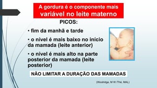 A gordura é o componente mais
variável no leite materno
PICOS:
• fim da manhã e tarde
• o nível é mais baixo no início
da mamada (leite anterior)
• o nível é mais alto na parte
posterior da mamada (leite
posterior)
NÃO LIMITAR A DURAÇÃO DAS MAMADAS
(Woolridge, M W /Thé, MAL)
 