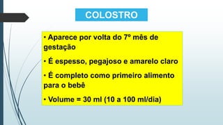 COLOSTRO
• Aparece por volta do 7º mês de
gestação
• É espesso, pegajoso e amarelo claro
• É completo como primeiro alimento
para o bebê
• Volume = 30 ml (10 a 100 ml/dia)
 