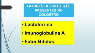 FATORES DE PROTEÇÃO
PRESENTES NO
COLOSTRO
• Lactoferrina
• Imunoglobulina A
• Fator Bifidus
 