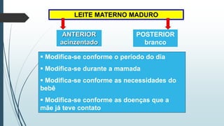LEITE MATERNO MADURO
 Modifica-se conforme o período do dia
 Modifica-se durante a mamada
 Modifica-se conforme as necessidades do
bebê
 Modifica-se conforme as doenças que a
mãe já teve contato
ANTERIOR
acinzentado
POSTERIOR
branco
 