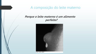 A composição do leite materno
Porque o leite materno é um alimento
perfeito?
 