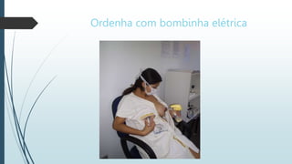 Ordenha com bombinha elétrica
 