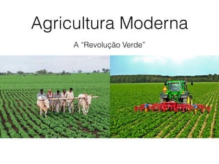 A “Revolução Verde”
Agricultura Moderna
 